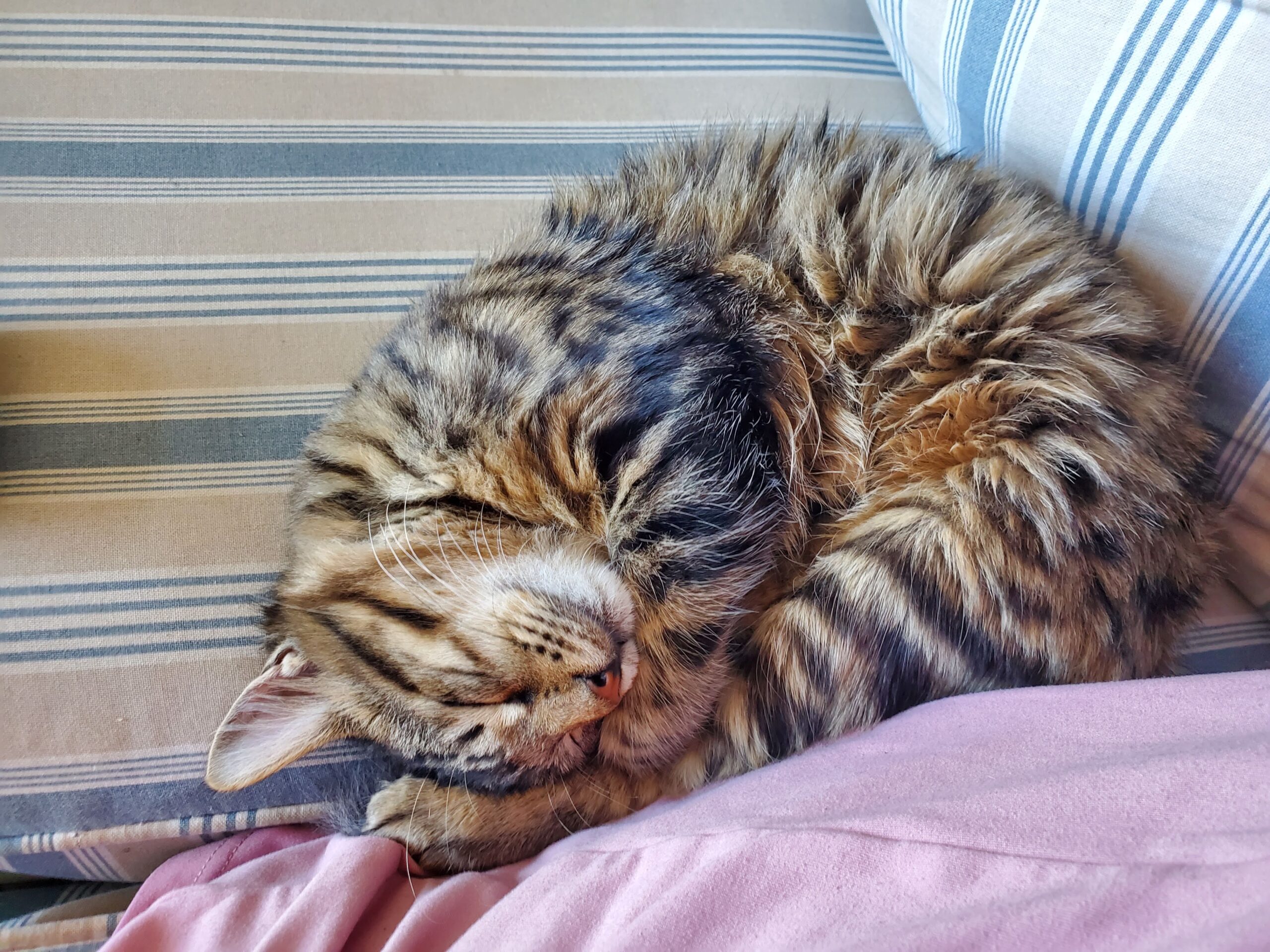 Monday Morning by JR Mercier